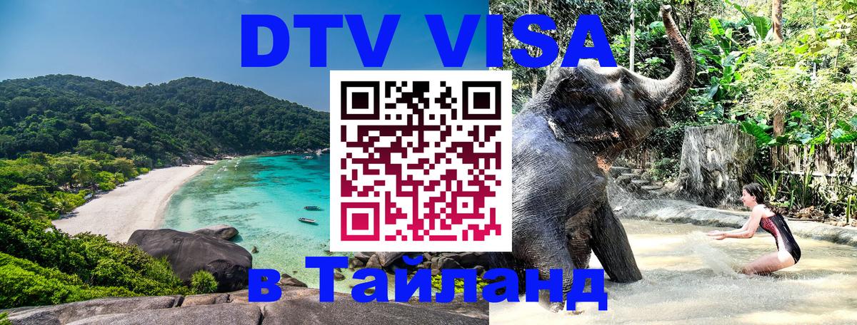 Сколько стоит DTV виза — актуальные цены, оформление даже без документов - 19.11.2025 